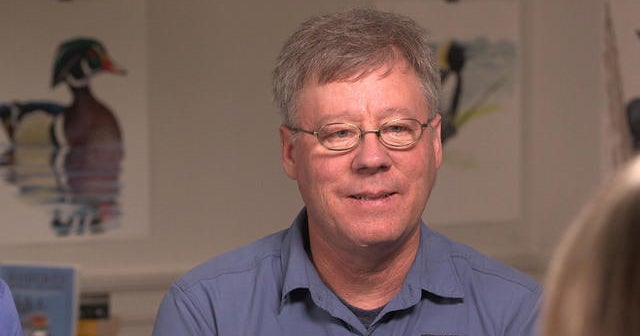 David Sibley: Growing up as a birder