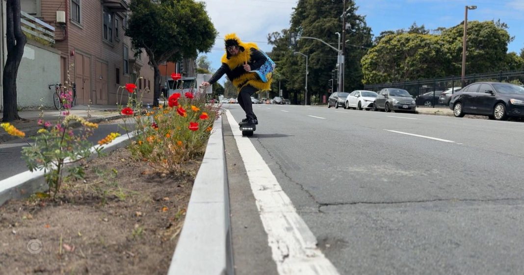 One man's attempt to help bees flourish in San Francisco